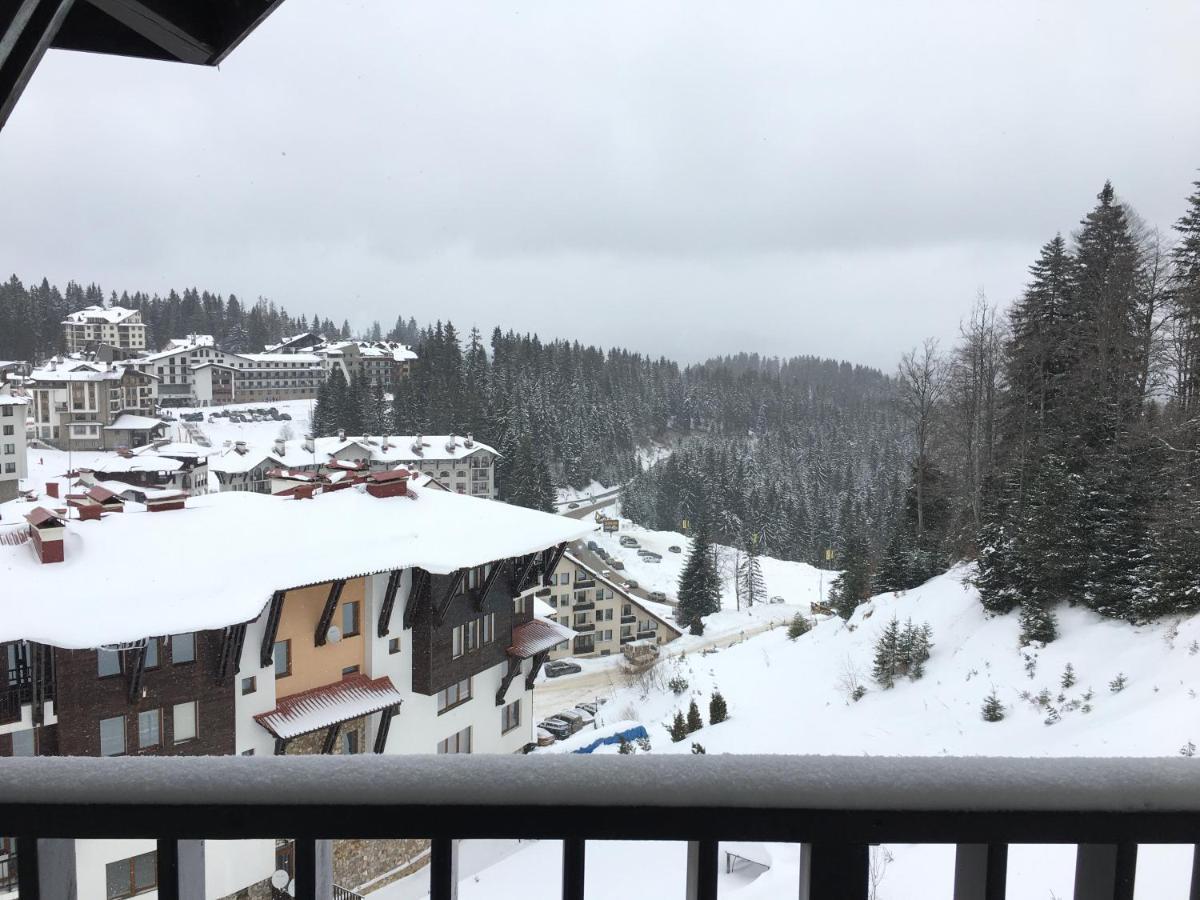 Grandview Apartment Grand Monastery Pamporovo Eksteriør billede